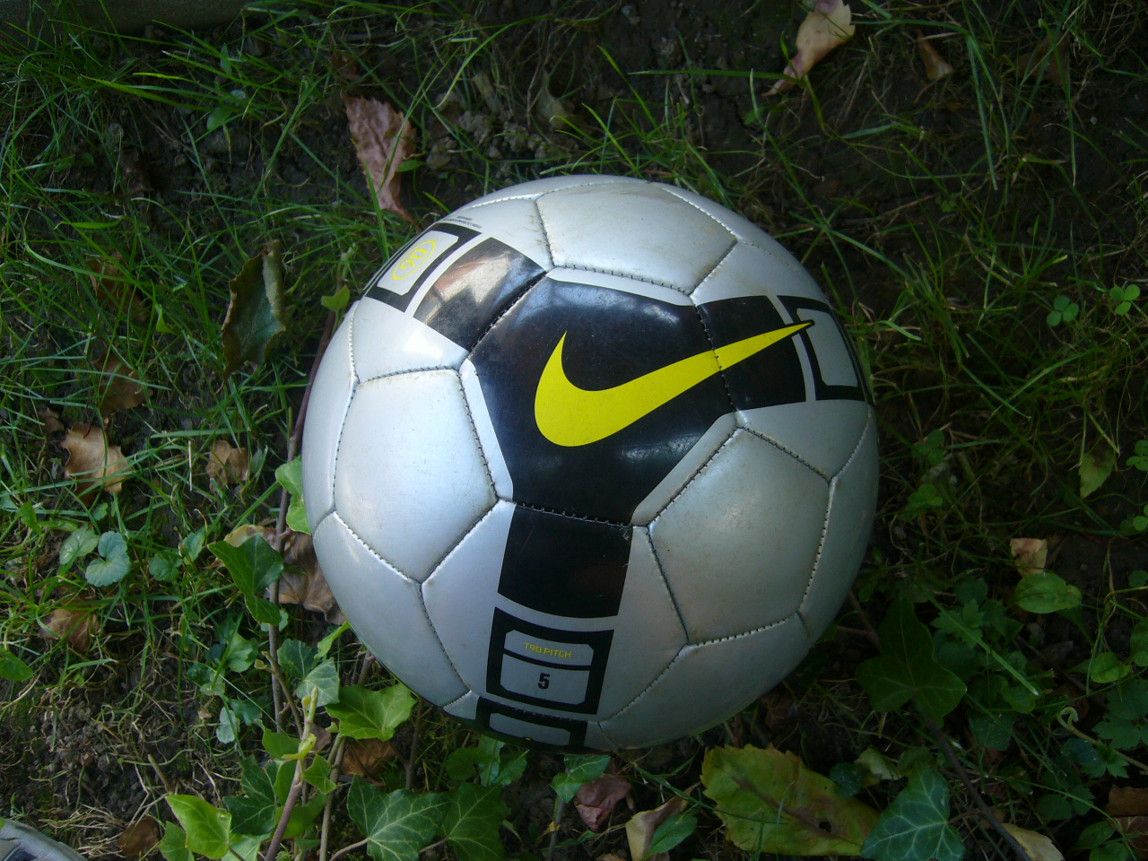 nike.JPG